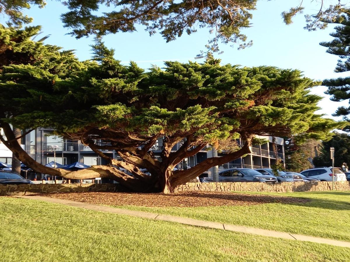 Apartments In Phillip Island Towers - Block C Cowes Kültér fotó